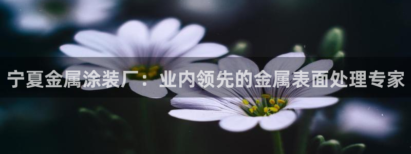 美狮美高梅穿梭巴士时刻表