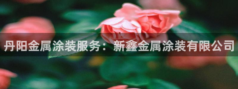 美高梅何超琼持股多少