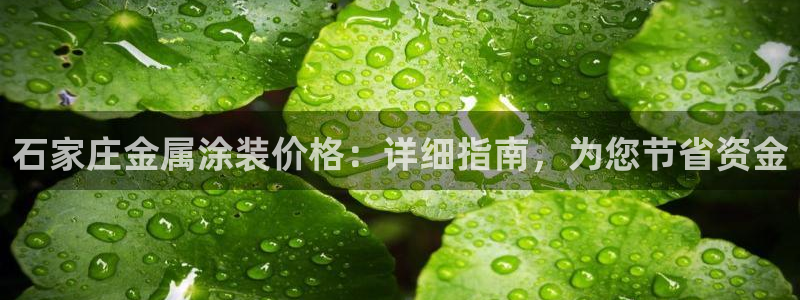 美高梅VIP音乐会