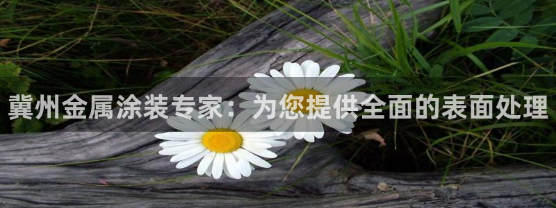 何超琼美高梅持股