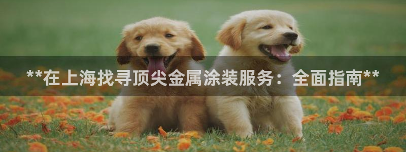 美高梅接驳车