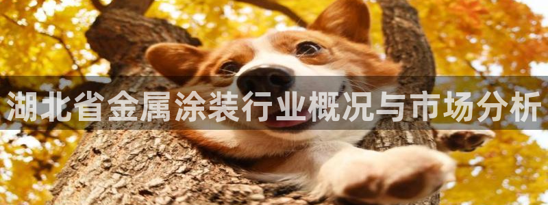 何超琼美高梅持股