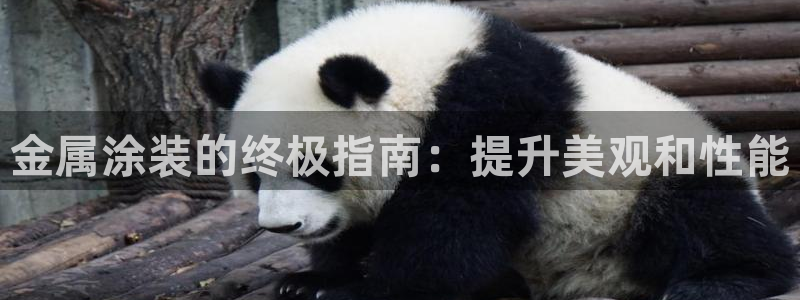 美高梅酒店app官网下载