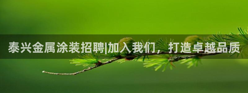 美高梅中国控股有限公司 介绍