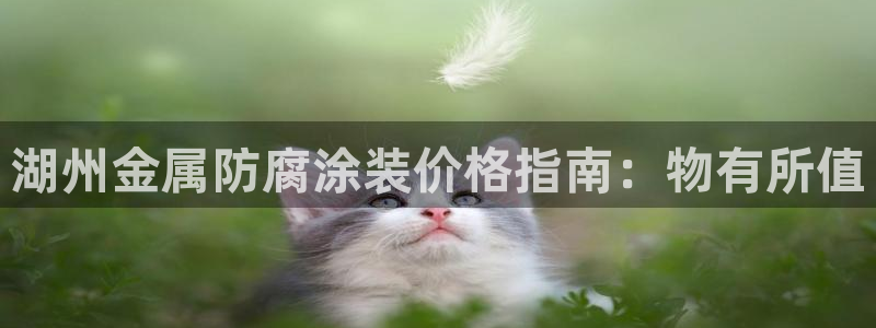 美高梅酒店有什么好玩的