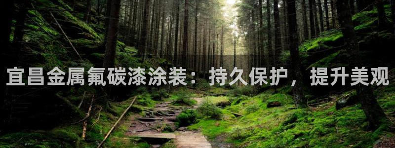 美高梅是什么意思啊