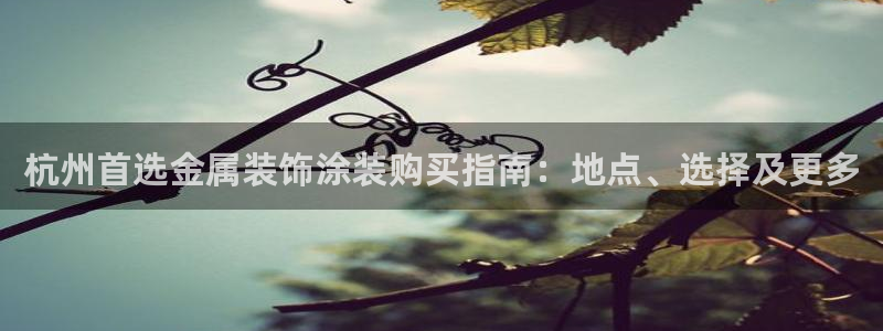 美高梅公司简介
