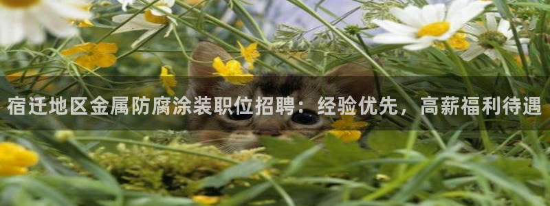 美高梅直营正网