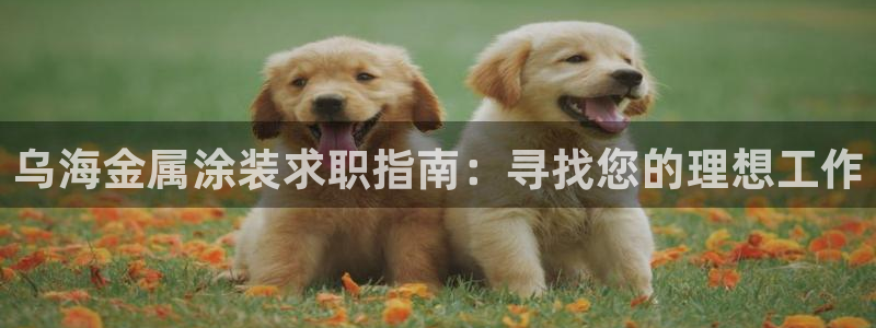 鲁能钓鱼台美高梅loft