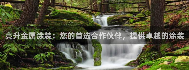 美高梅酒店和丽思卡尔顿哪个好