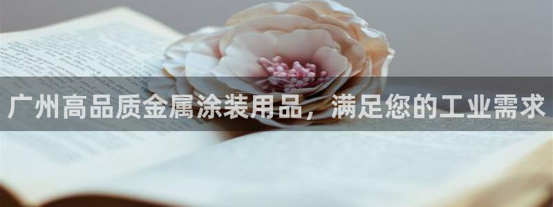 何超琼投资美高梅
