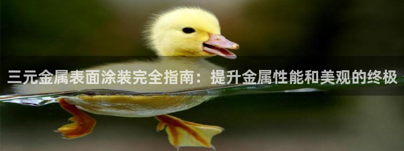 美高梅酒店跑路