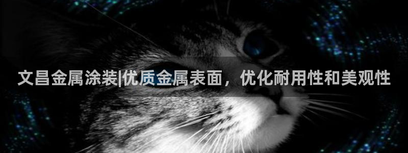 美高梅大酒店招聘