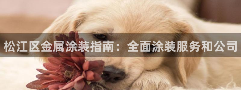美狮美高梅酒店前台