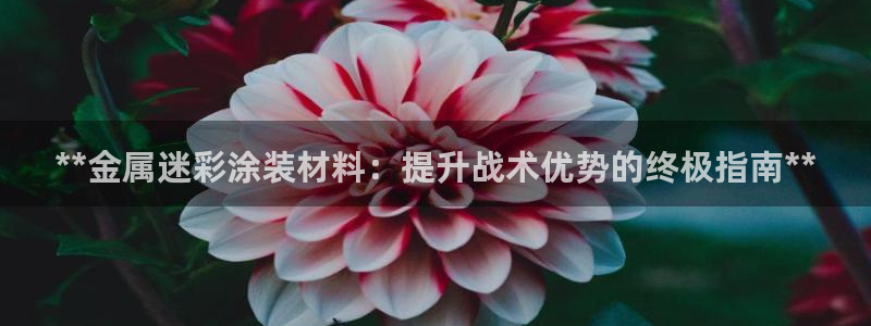 美高梅的老板是谁?