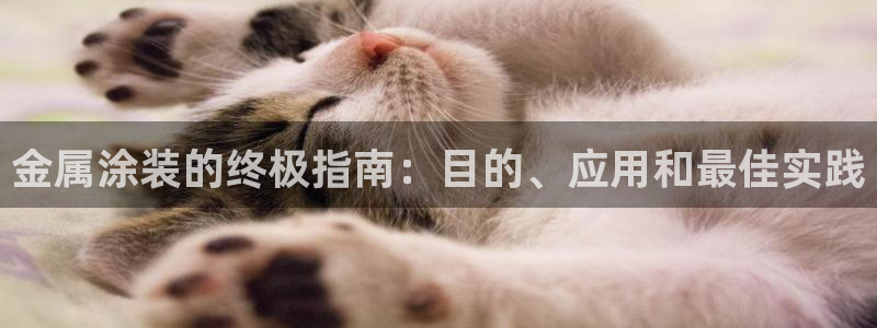 美高梅至尊卡级别