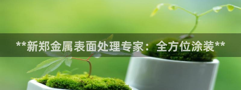 美高梅是谁的公司