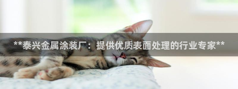 美高梅会员等级怎么分