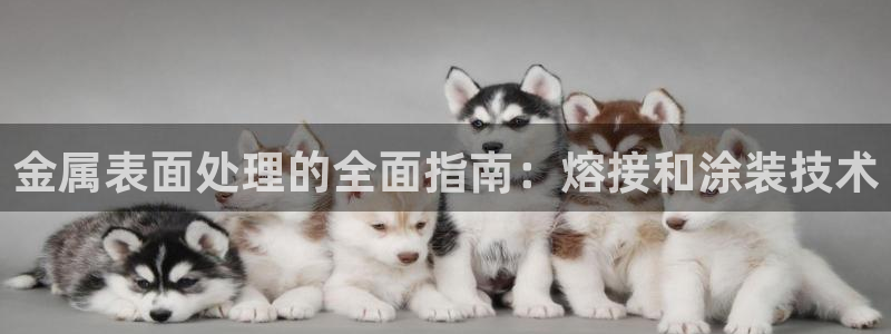 美高梅客服联系方法