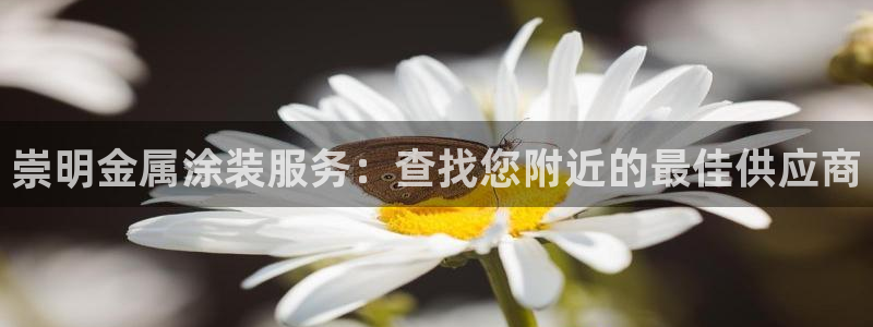 美高梅哪个集团