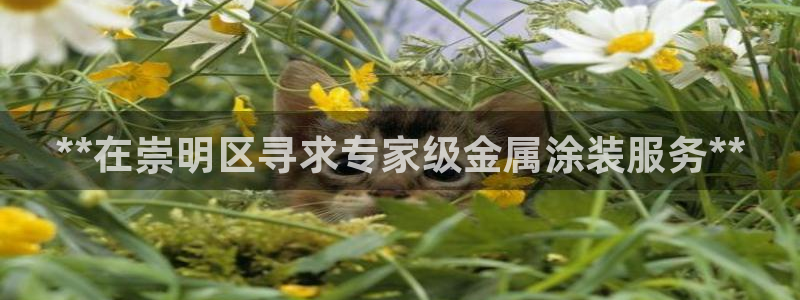 美高梅物业管理有限公司