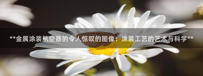 美狮美高梅酒店客房多少间