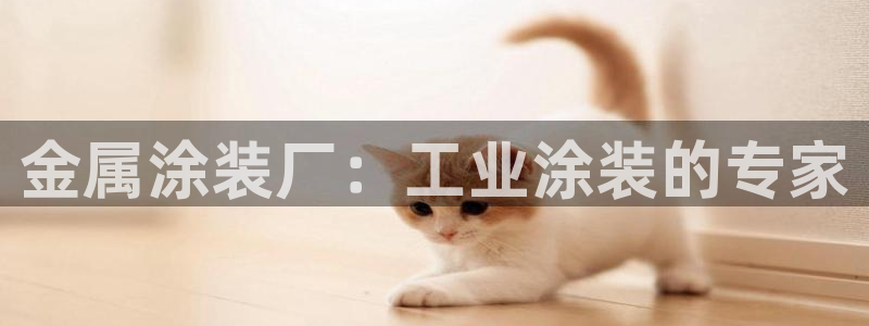 美高梅酒店会员卡