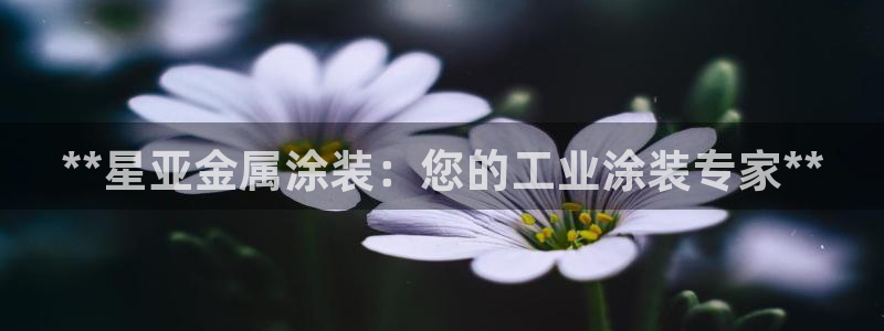 美高梅酒店品牌故事