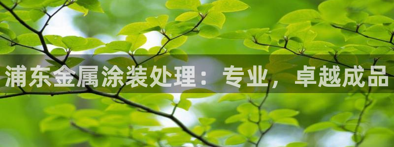 美高梅别墅宋家庄