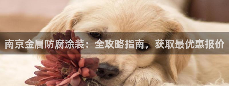 美高梅控股有限公司怎么样