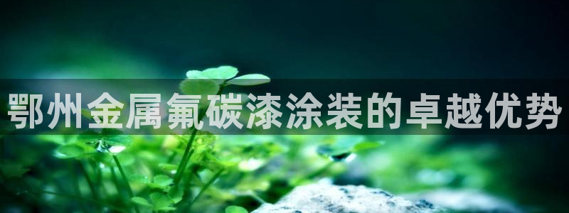 美狮美高梅酒店里的娱乐场承包出去了吗
