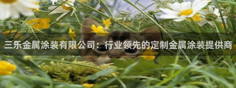 澳门新开美高梅的酒店