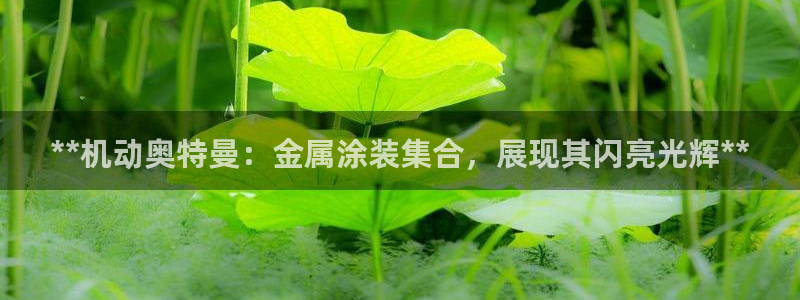 美高梅大酒店一共多少层