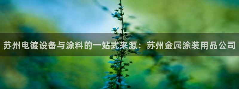 美高梅空气炸锅怎么样