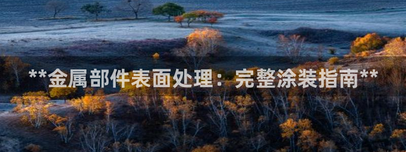 美高梅酒店日语