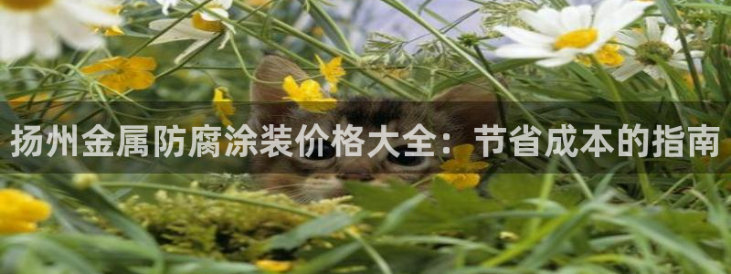 美高梅附近美食