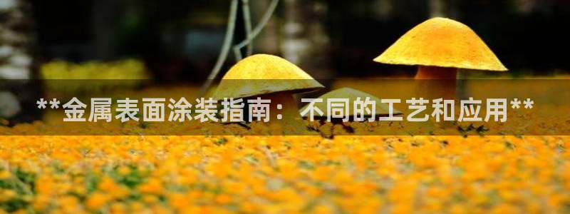 美高梅会员卡被别人用了