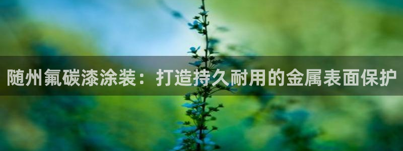 美高梅酒店特色