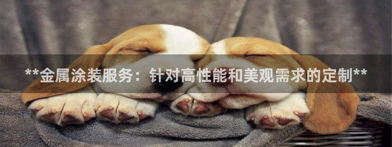 美高梅会员卡原始密码是多少