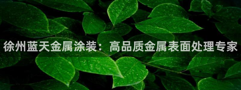 美高梅会员卡办理要提供港澳通行证吗