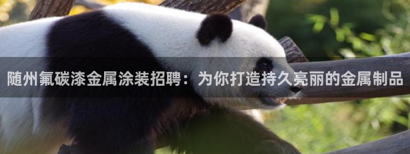 美高梅酒店澳门价格