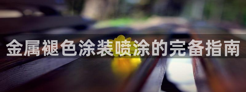 美狮美高梅早餐价格