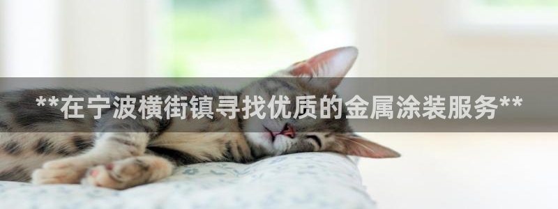 美高梅何超琼年薪