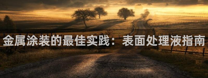 美高梅集团介绍