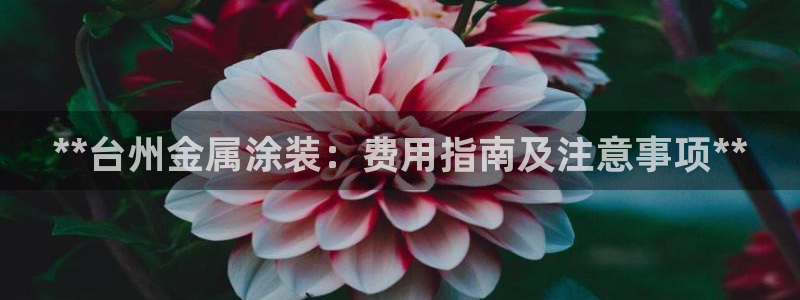 美高梅会员等级怎么升