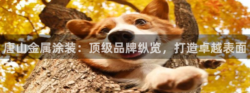 美高梅咖啡多少钱一杯啊