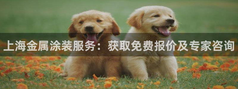 美狮美高梅酒店