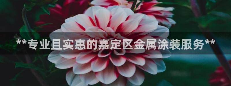 美狮美高梅酒店谁开的