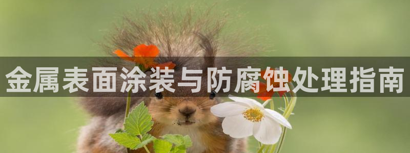 美高梅会员卡可以存钱吗