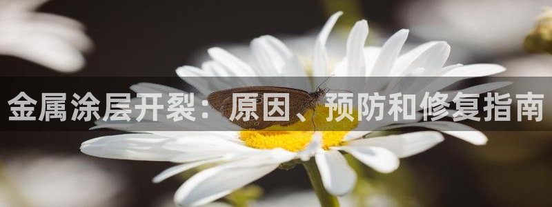 美高梅酒店房卡